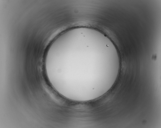 X0000113870578200910151303