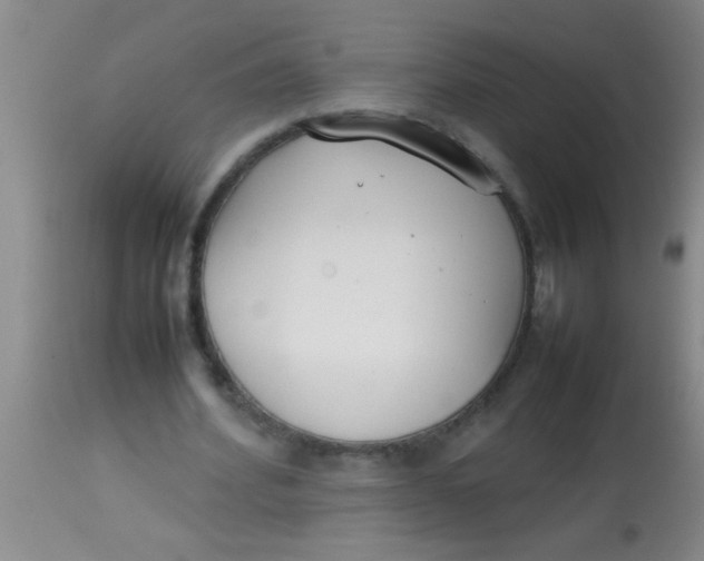 X0000113870580200910151303