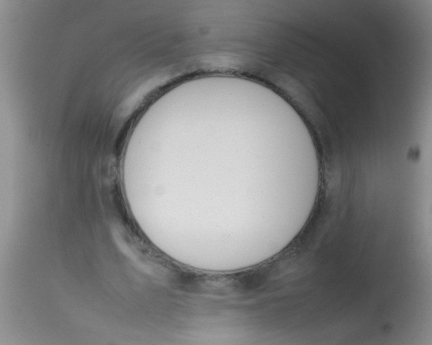 X0000113870583200910151303