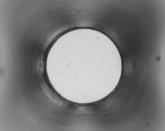 X0000113870584200910151303