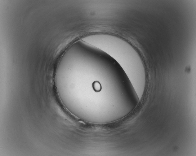 X0000113870585200910151303