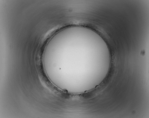 X0000113870587200910151303