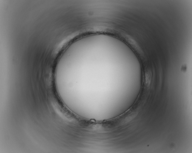 X0000113870588200910151303