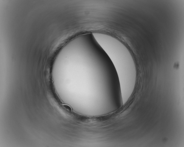 X0000113870589200910151303