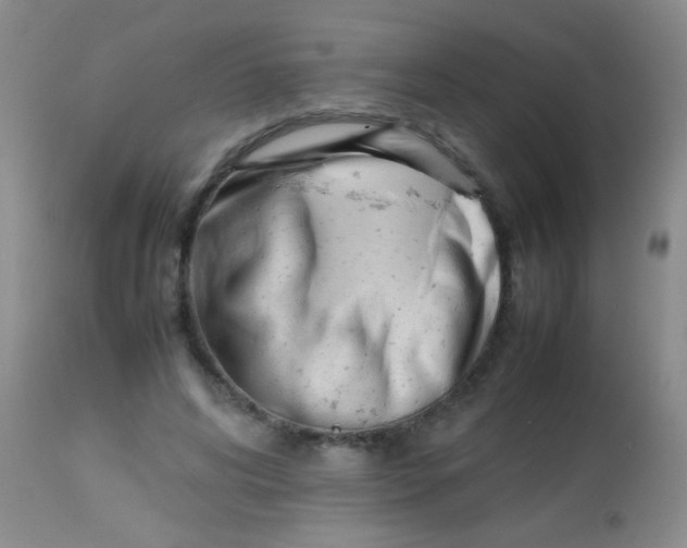 X0000113870592200910151303