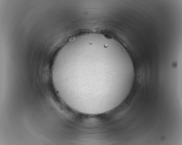 X0000113870594200910151303