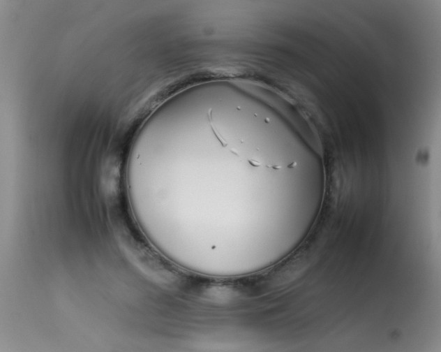 X0000113870596200910151303