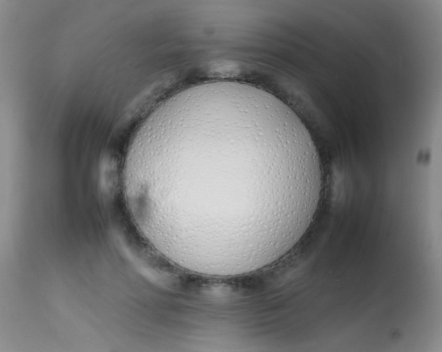 X0000113870598200910151303