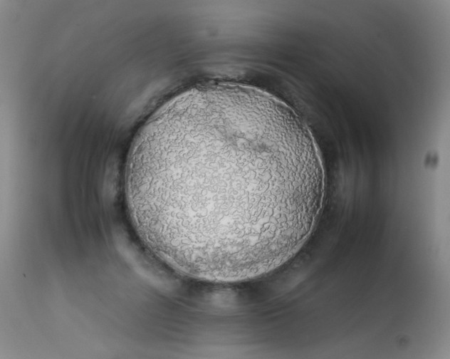 X0000113870600200910151303