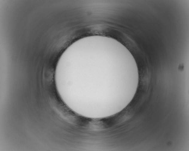 X0000113870603200910151303