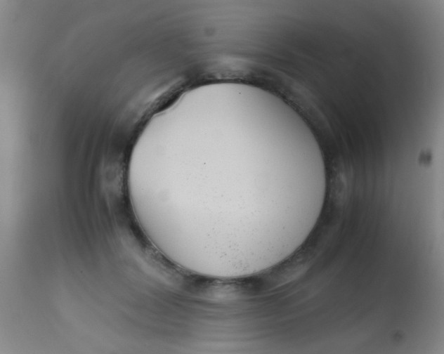 X0000113870604200910151303