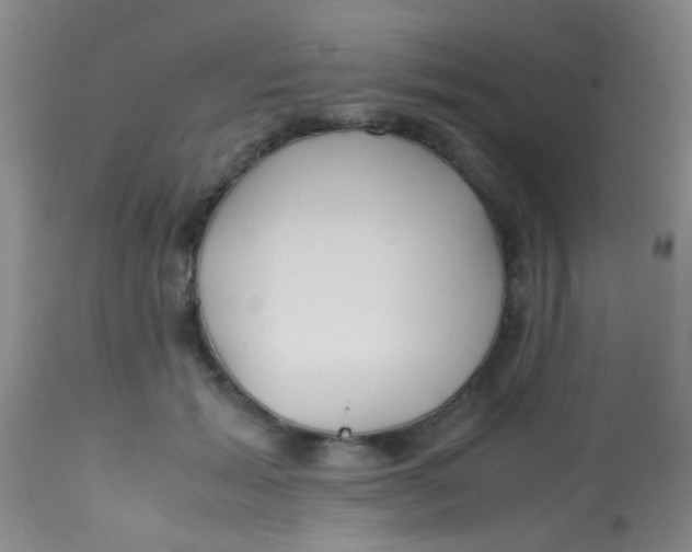 X0000113870605200910151303