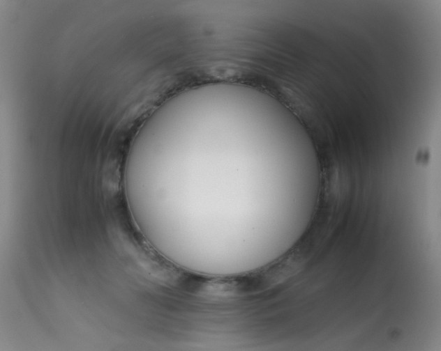 X0000113870606200910151303