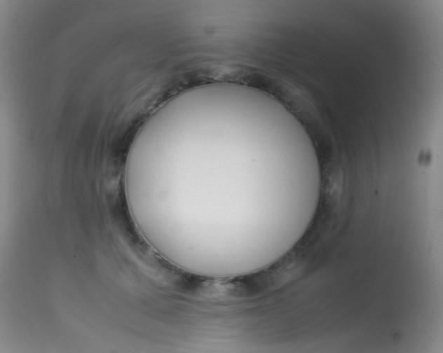 X0000113870607200910151303