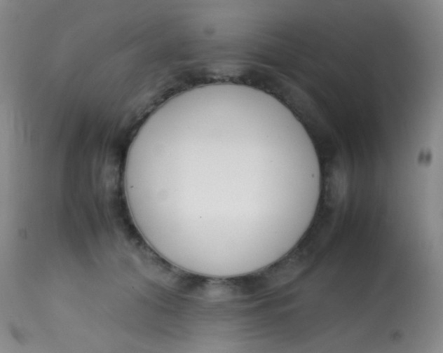 X0000113870608200910151303