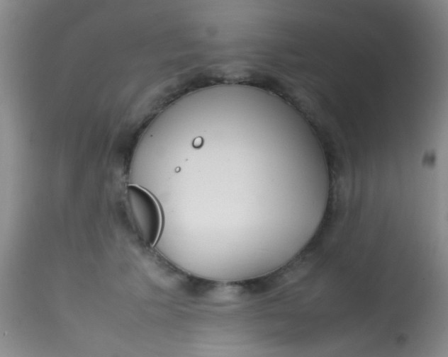 X0000113870609200910151303