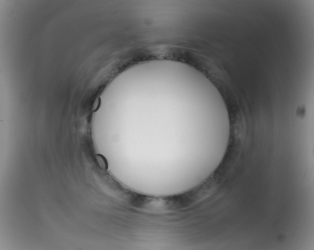 X0000113870611200910151302