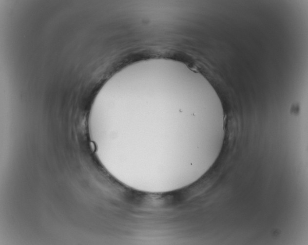 X0000113870613200910151302