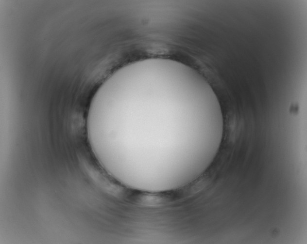 X0000113870614200910151302