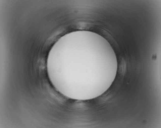 X0000113870620200910151302