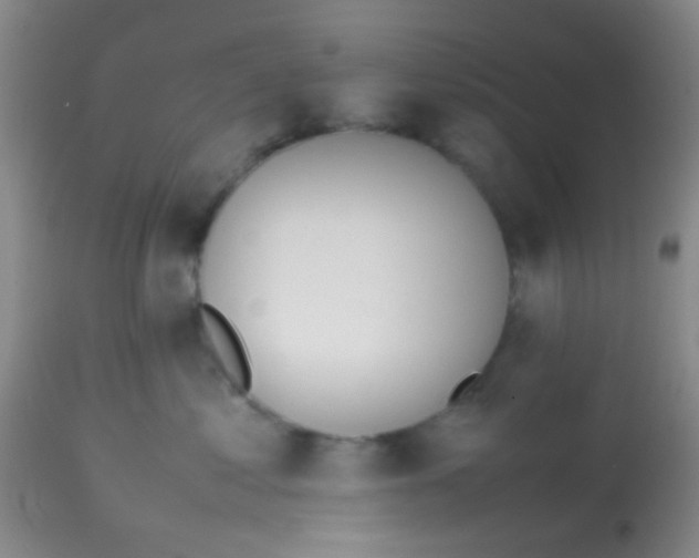 X0000113870621200910151302