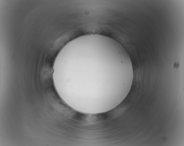 X0000113870623200910151302