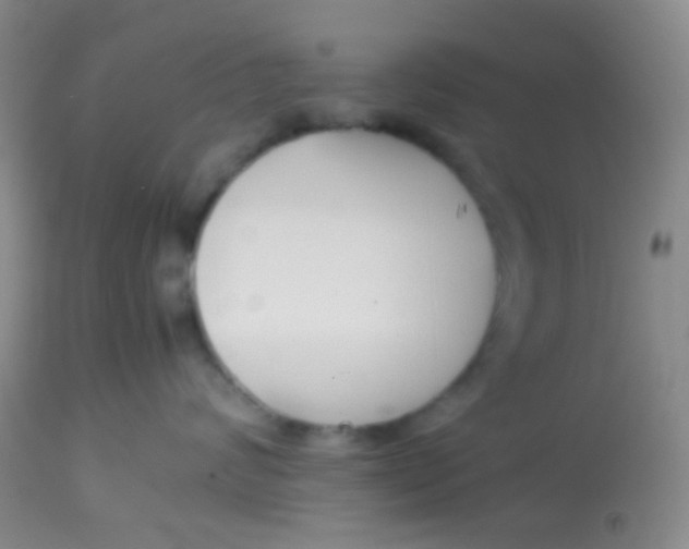 X0000113870624200910151302