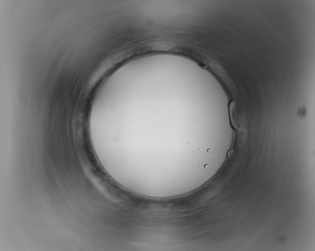 X0000113870626200910151301