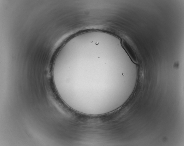 X0000113870628200910151301