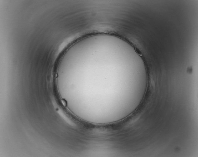 X0000113870630200910151301