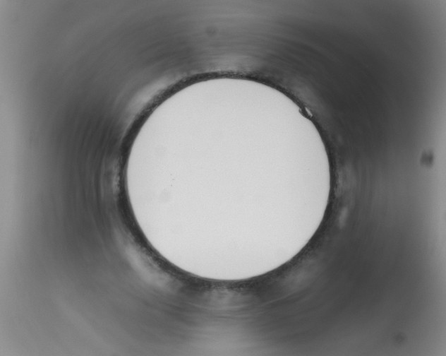 X0000113870632200910151301