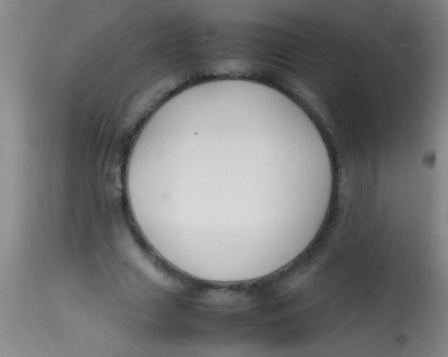 X0000113870633200910151301