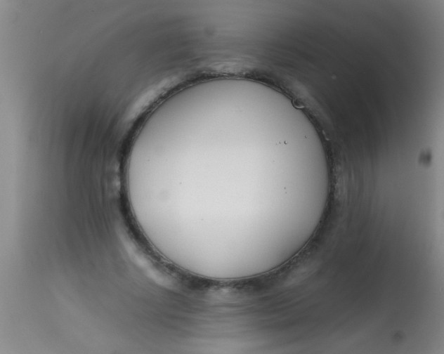 X0000113870634200910151301