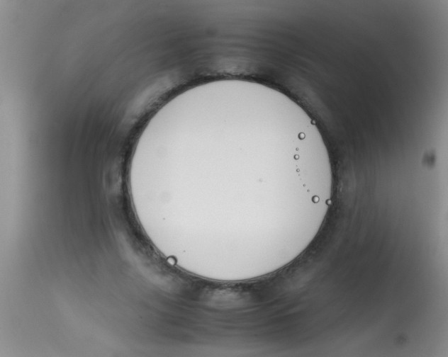 X0000113870635200910151302