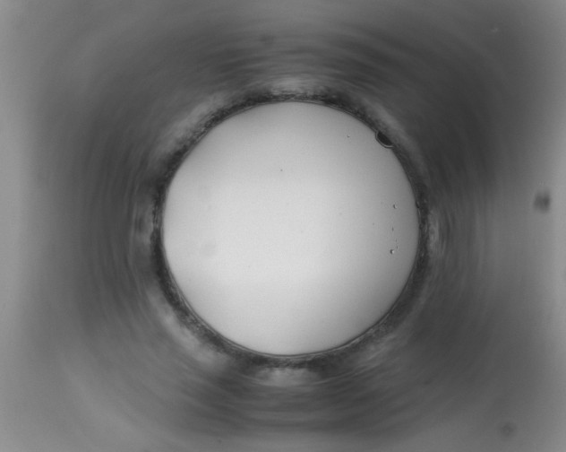 X0000113870637200910151302