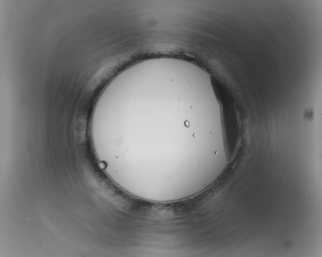 X0000113870640200910151302