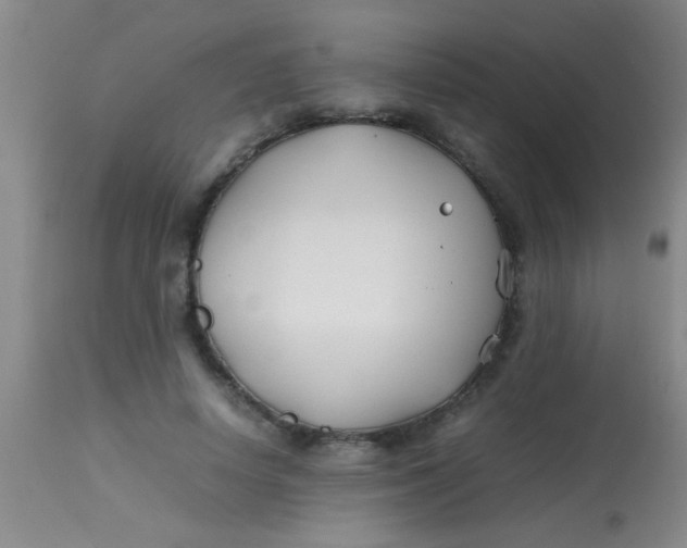 X0000113870642200910151302