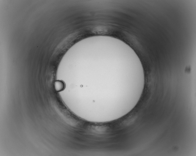 X0000113870645200910151302