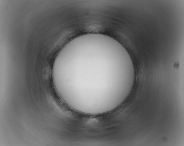 X0000113870647200910151302