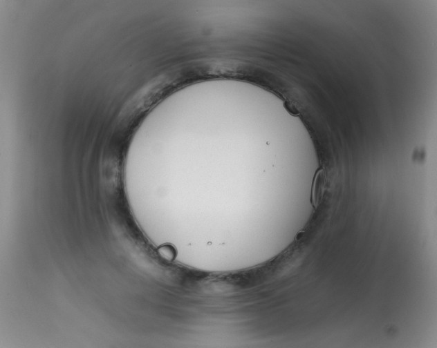 X0000113870648200910151302