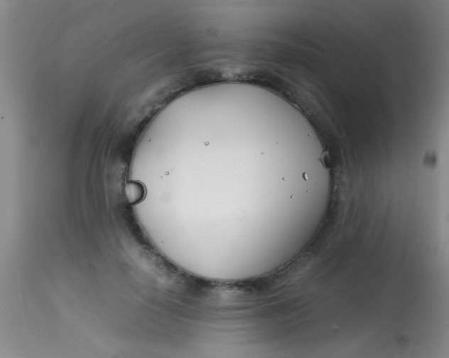 X0000113870650200910151302