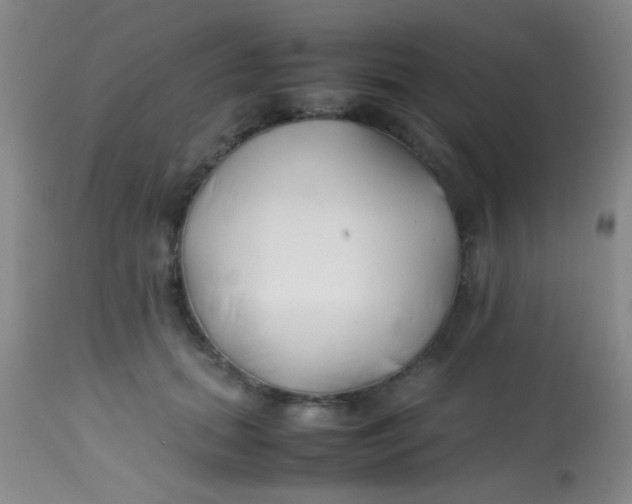 X0000113870655200910151302