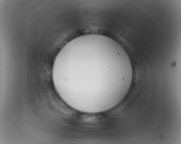 X0000113870661200910151302