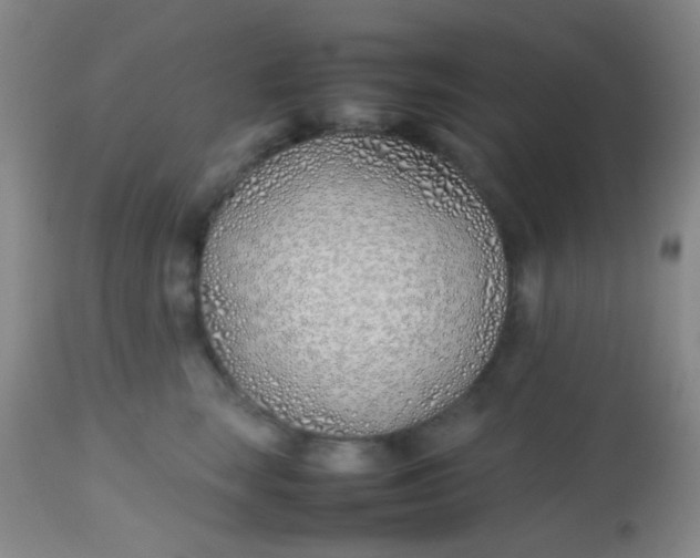 X0000113870663200910151302