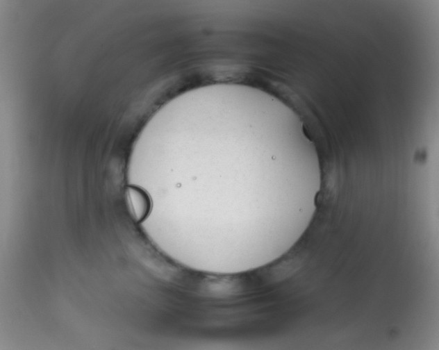 X0000113870667200910151302