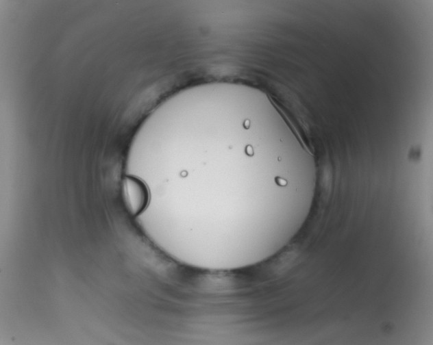 X0000113870668200910151302