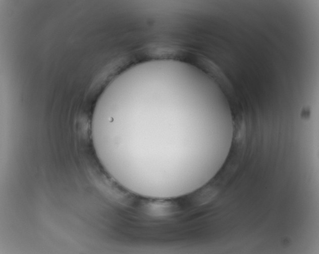 X0000113870669200910151302