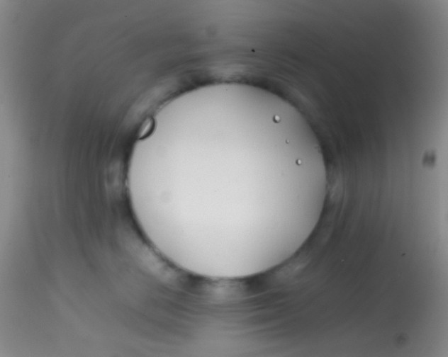 X0000113870670200910151302