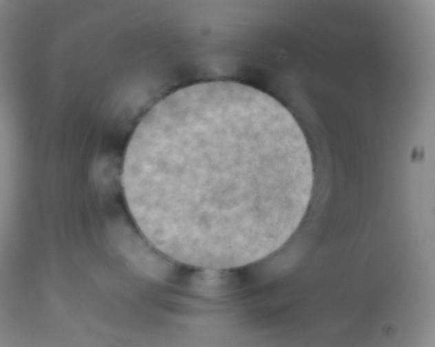 X0000113870672200910151302