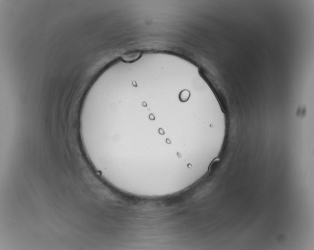 X0000113870673200910151301